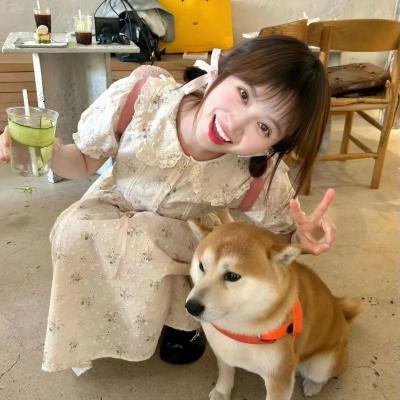 琼楼梦